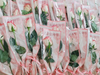 女神節(jié)快樂｜春日綻芳華，致敬她力量